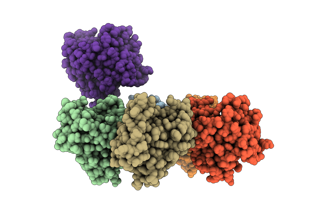 6Y4R image