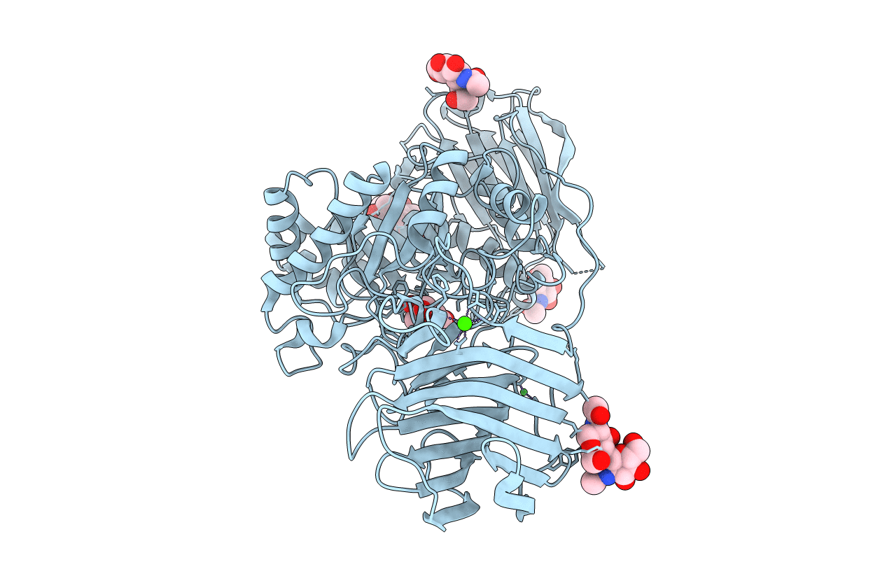 6Y6S image