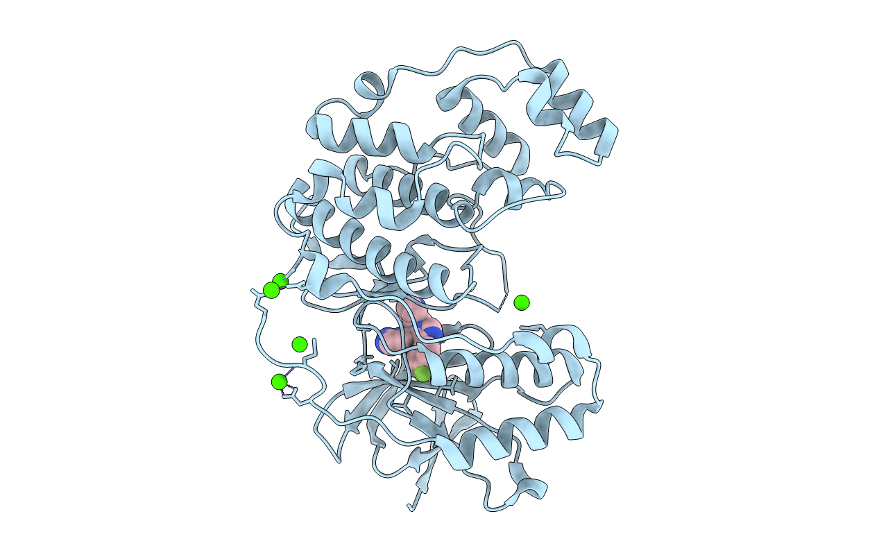 6Y8H image