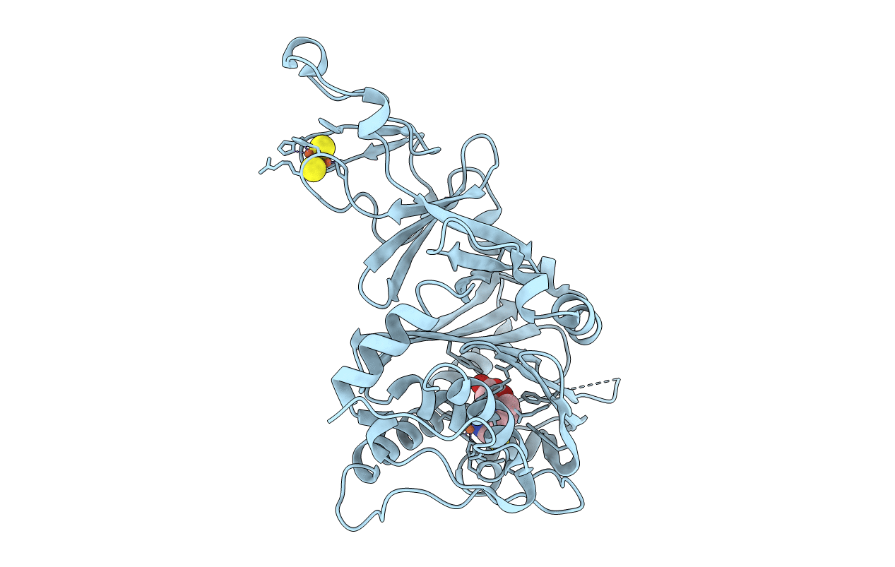 6Y9C image