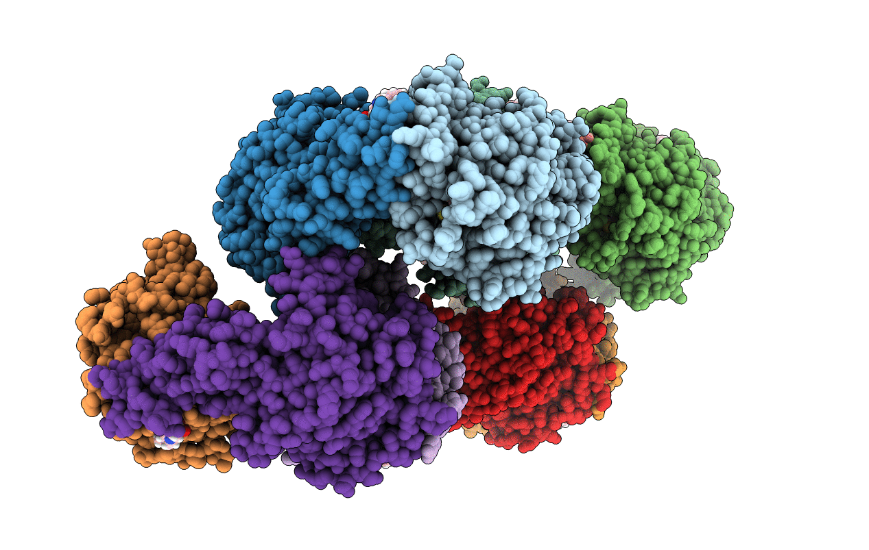 6Y9D image