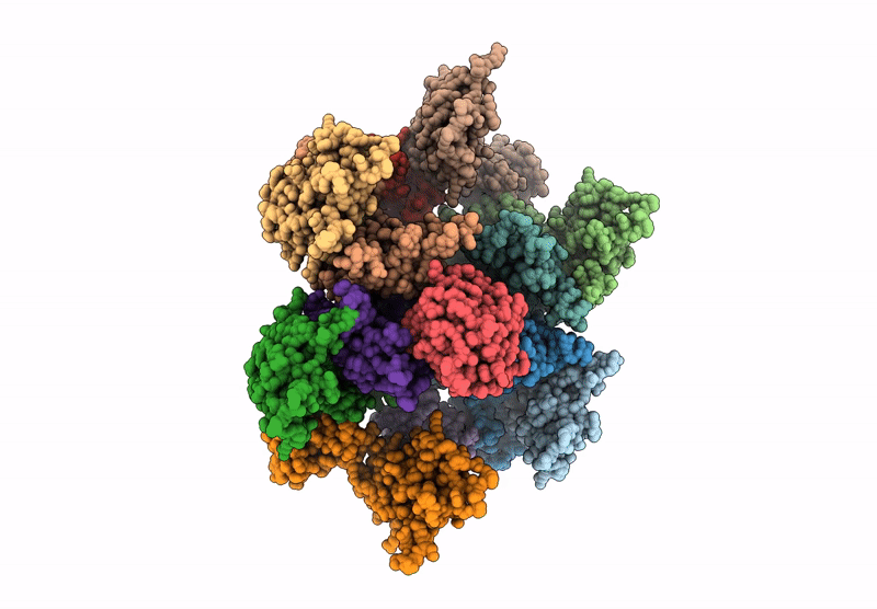6Y9V image