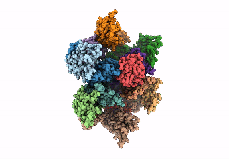 6Y9W image