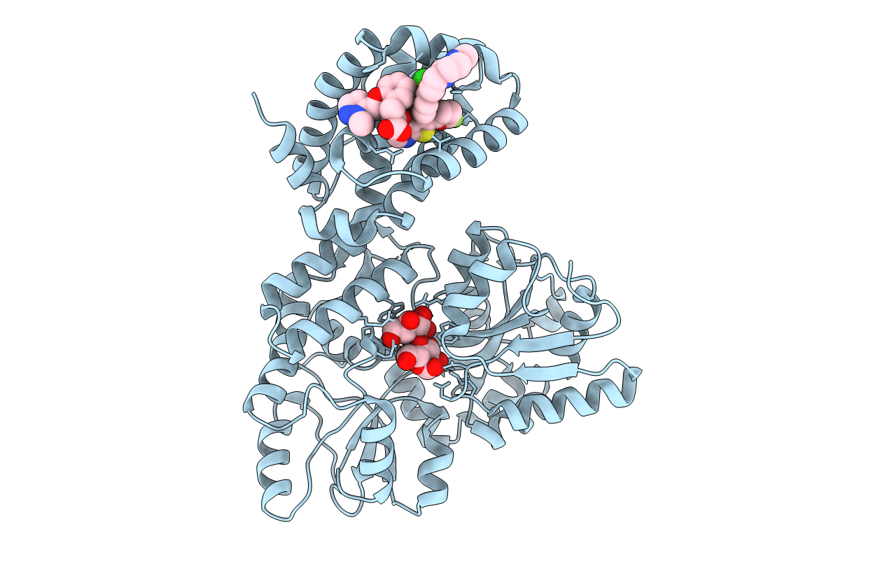 6YBJ image