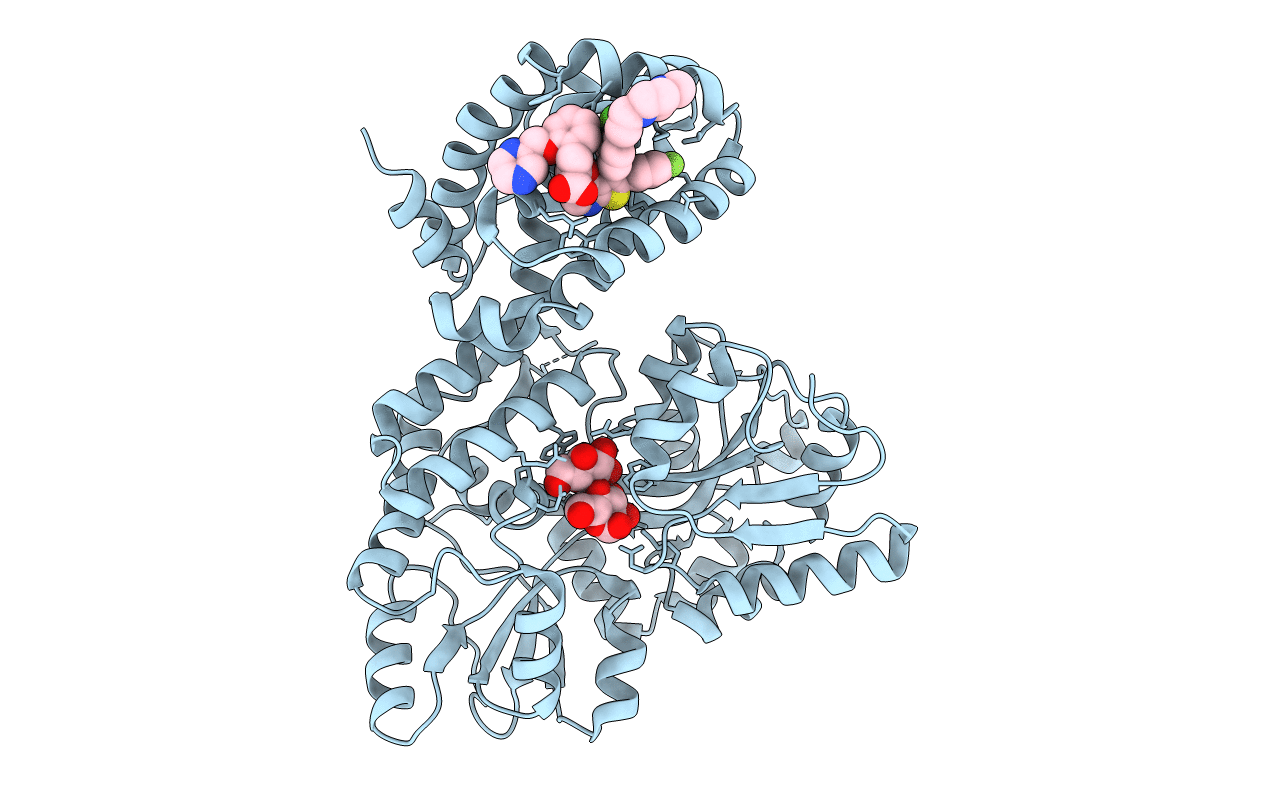 6YBK image