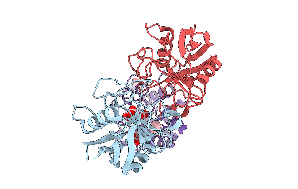 6YBM image