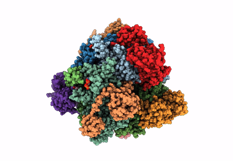 6YBP image
