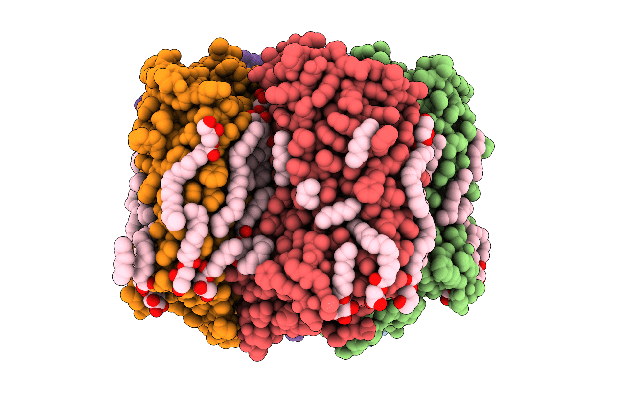6YC3 image