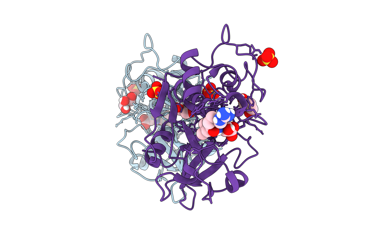 6YCC image