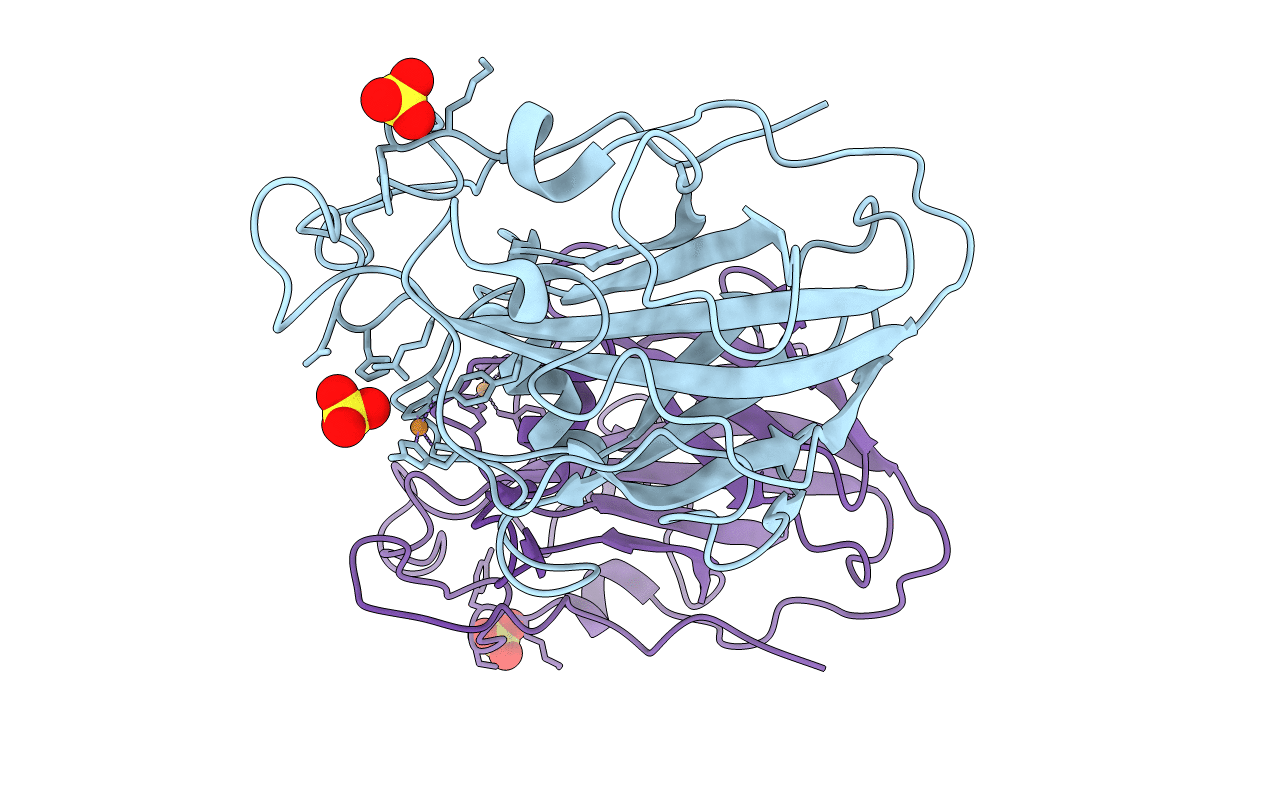 6YDF image