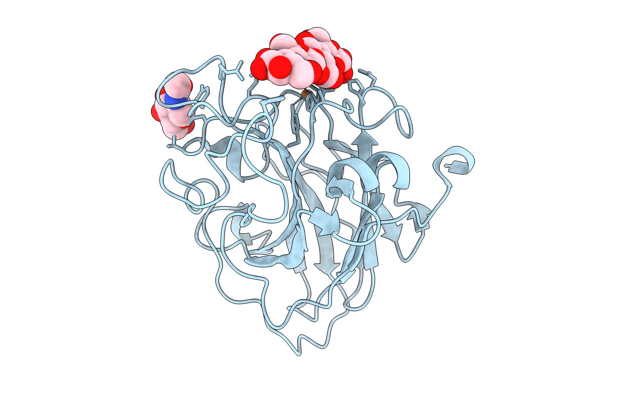 6YDG image