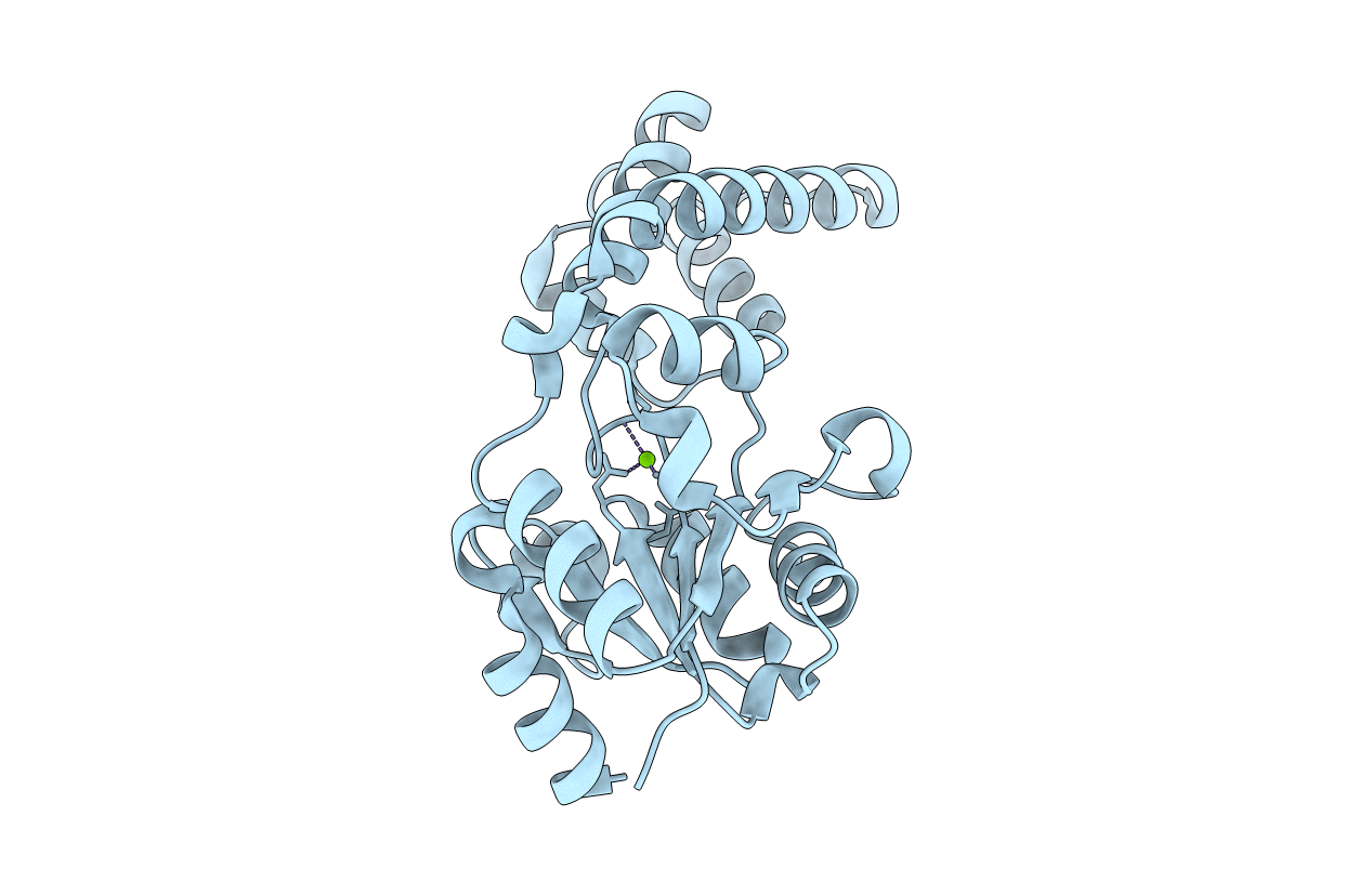 6YDL image