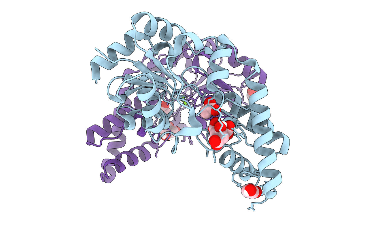 6YDM image