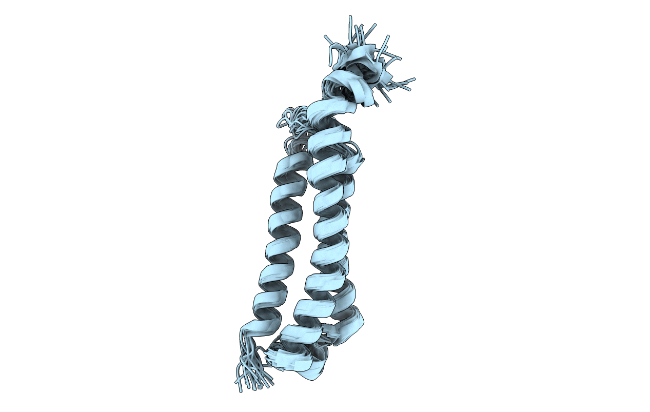 6YEL image