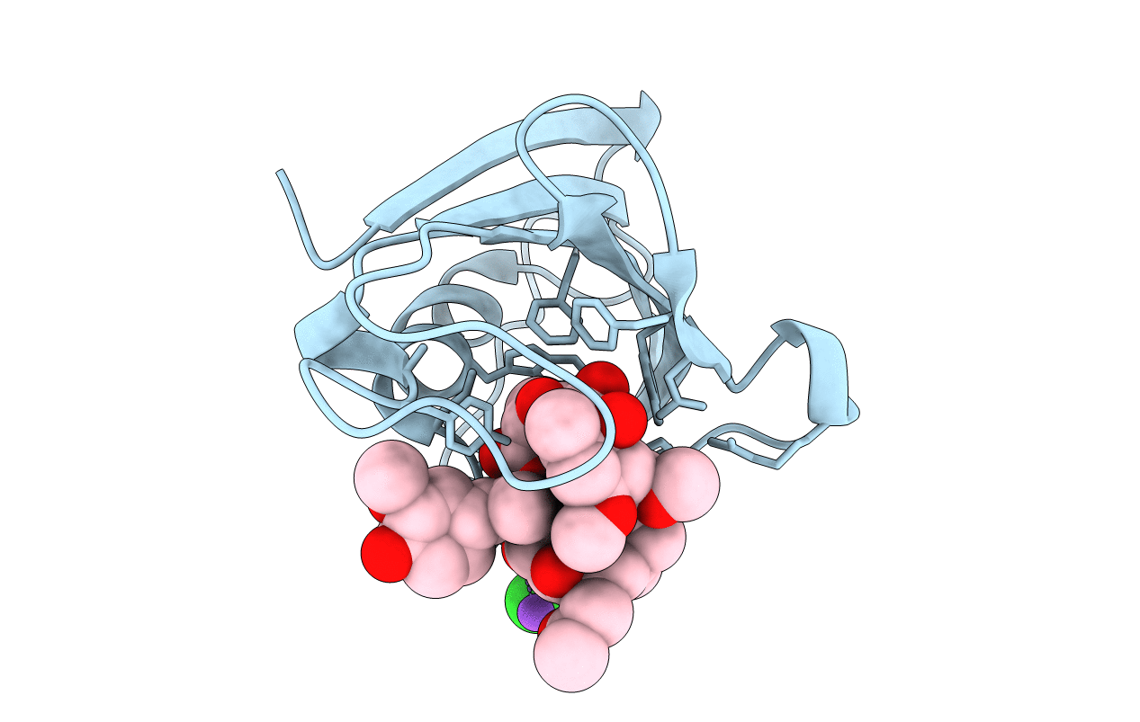 6YF2 image