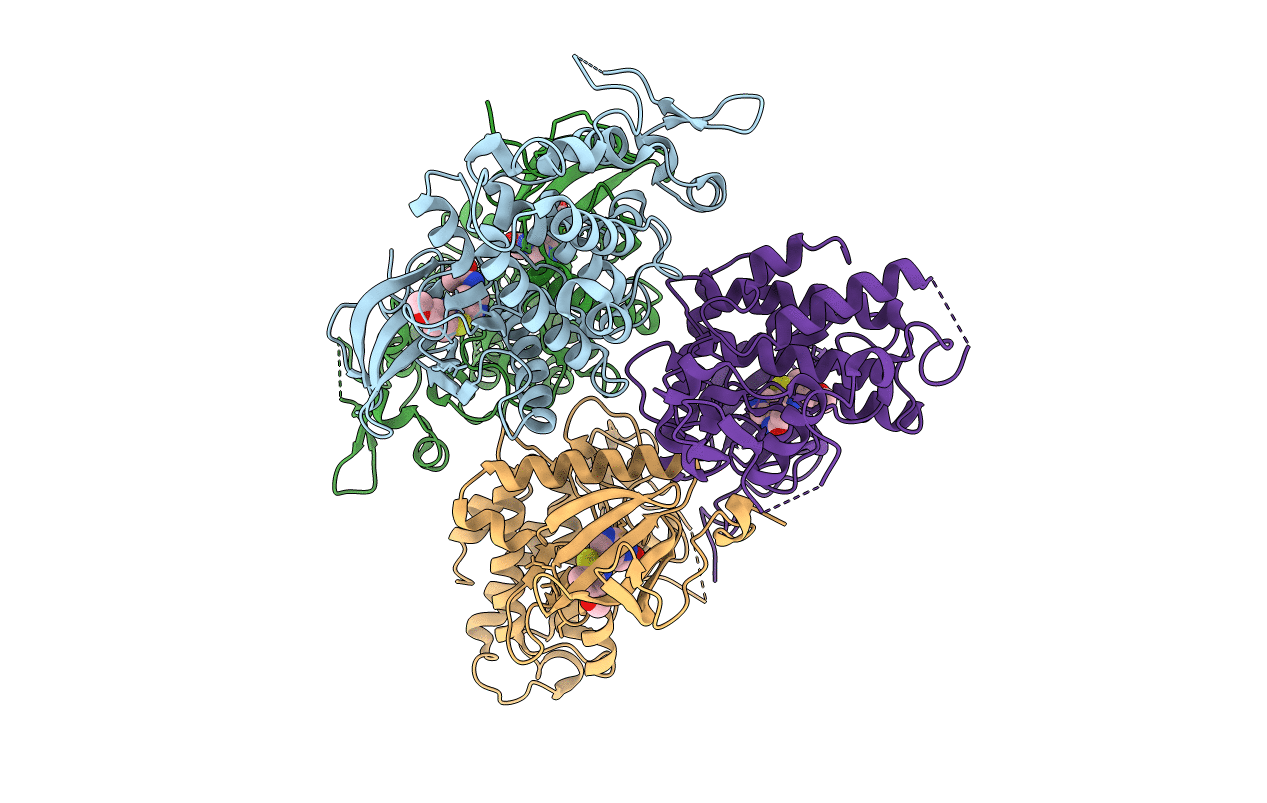6YF8 image