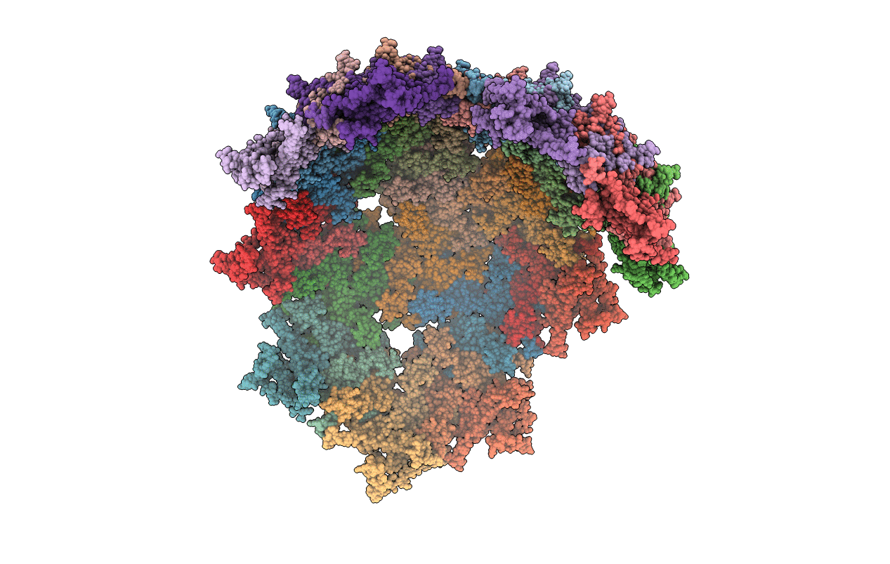 6YFA image