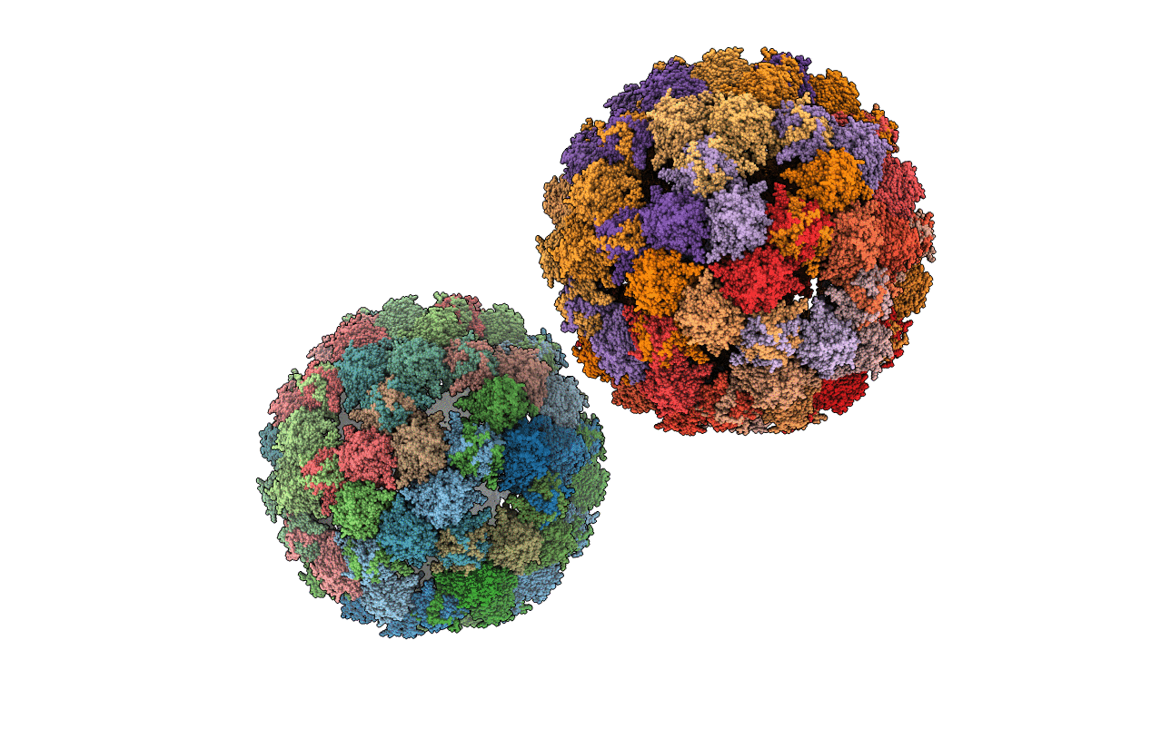 6YFG image