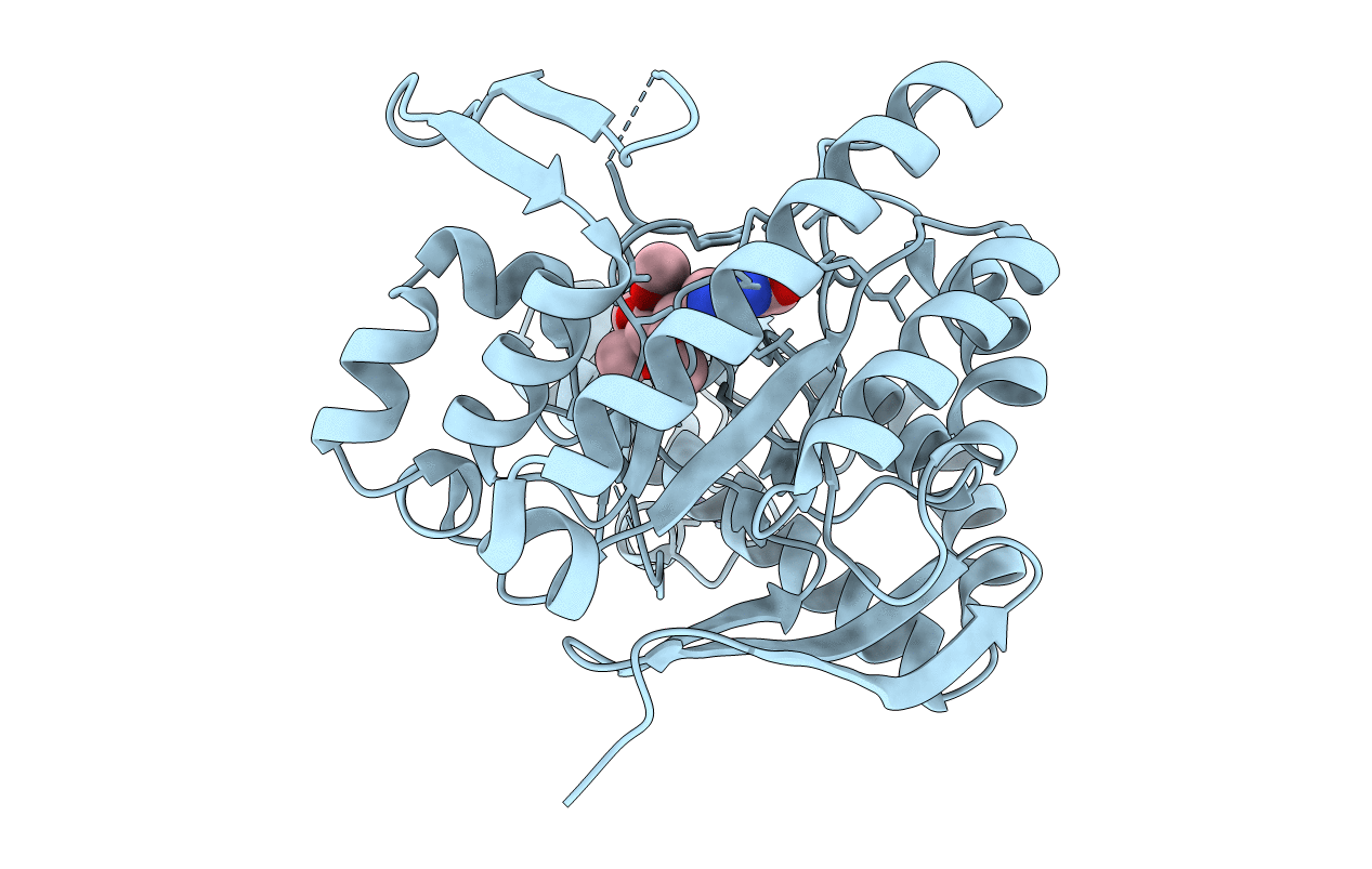 6YGX image