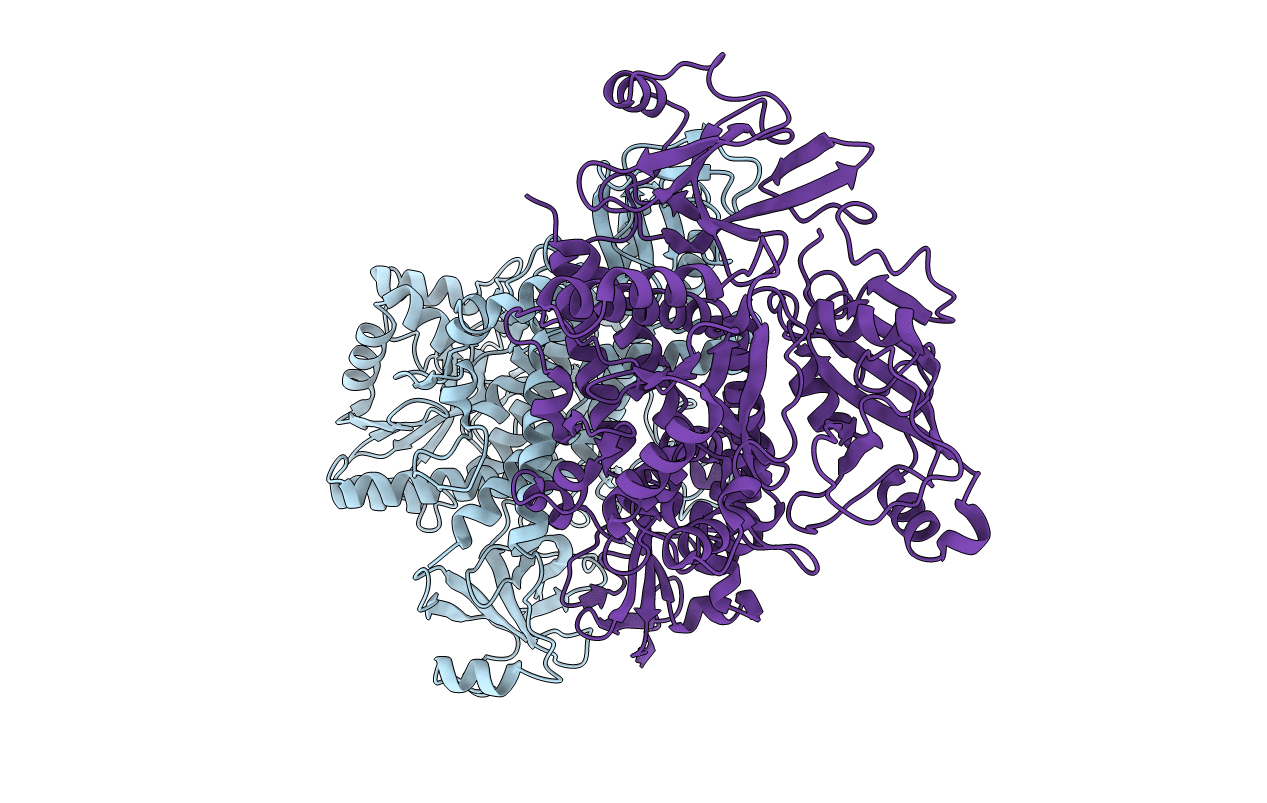 6YHL image