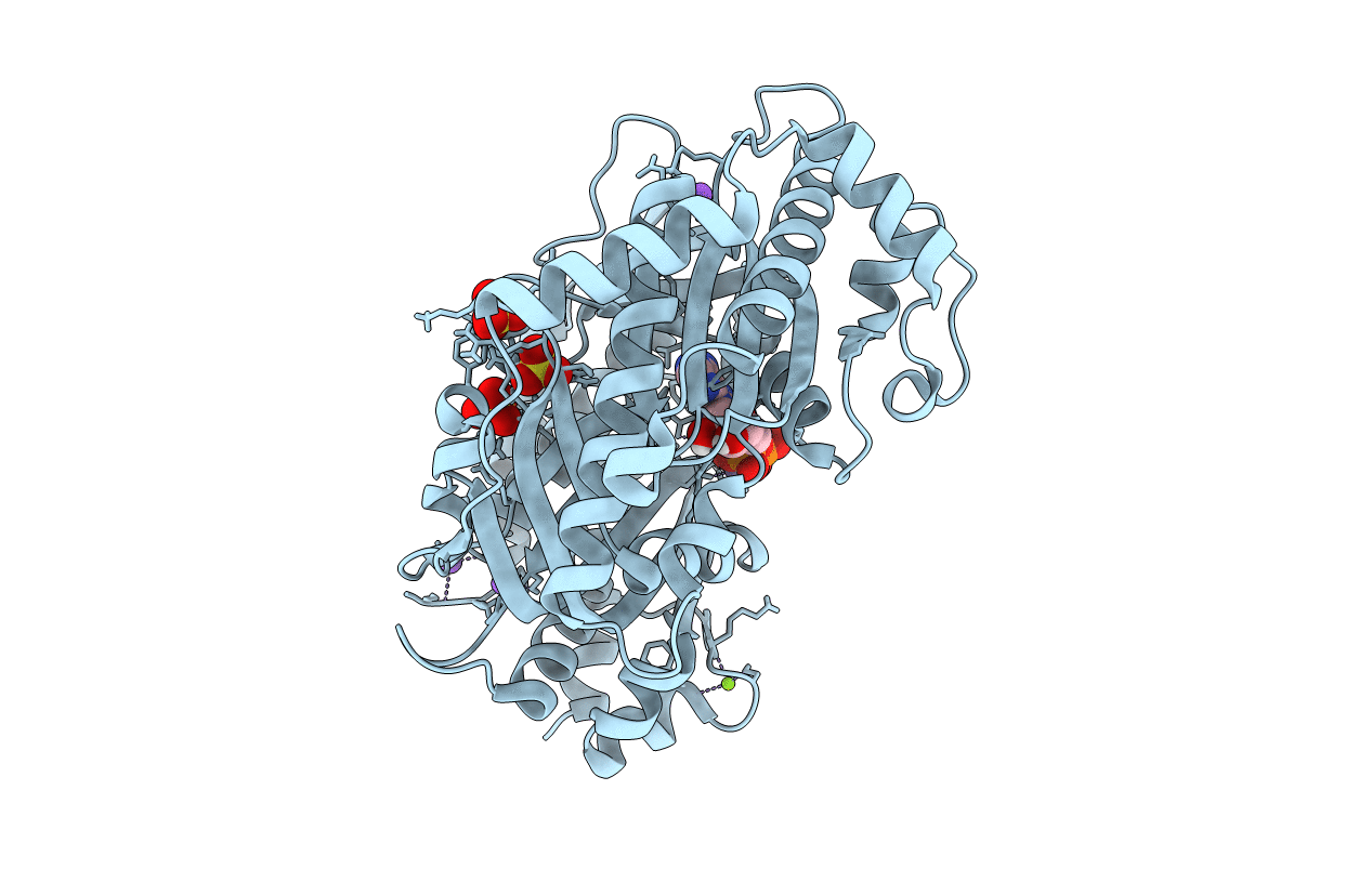 6YII image