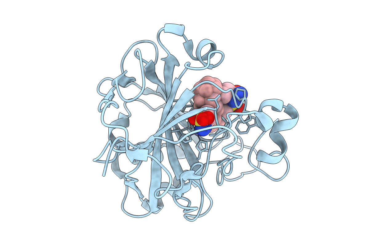 6YKC image