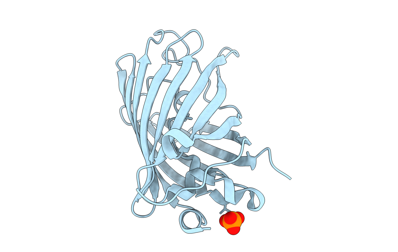 6YLP image