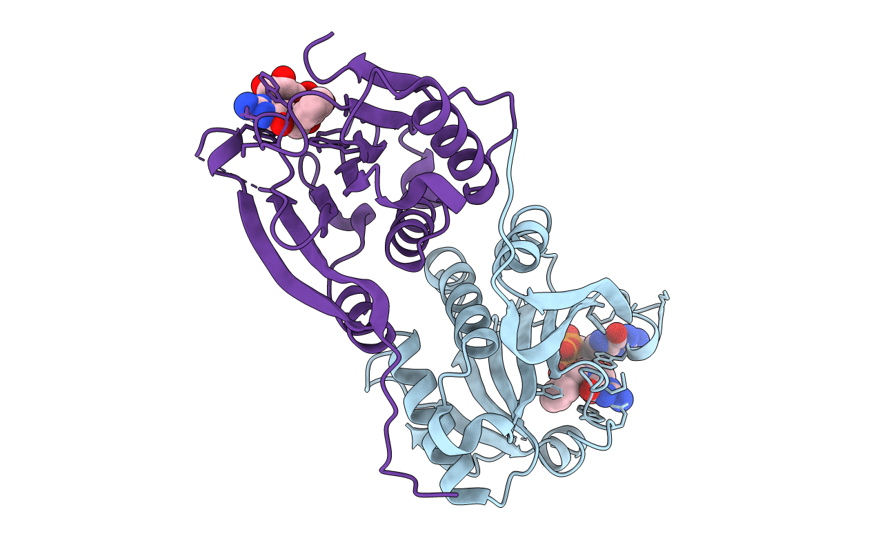 6YLR image