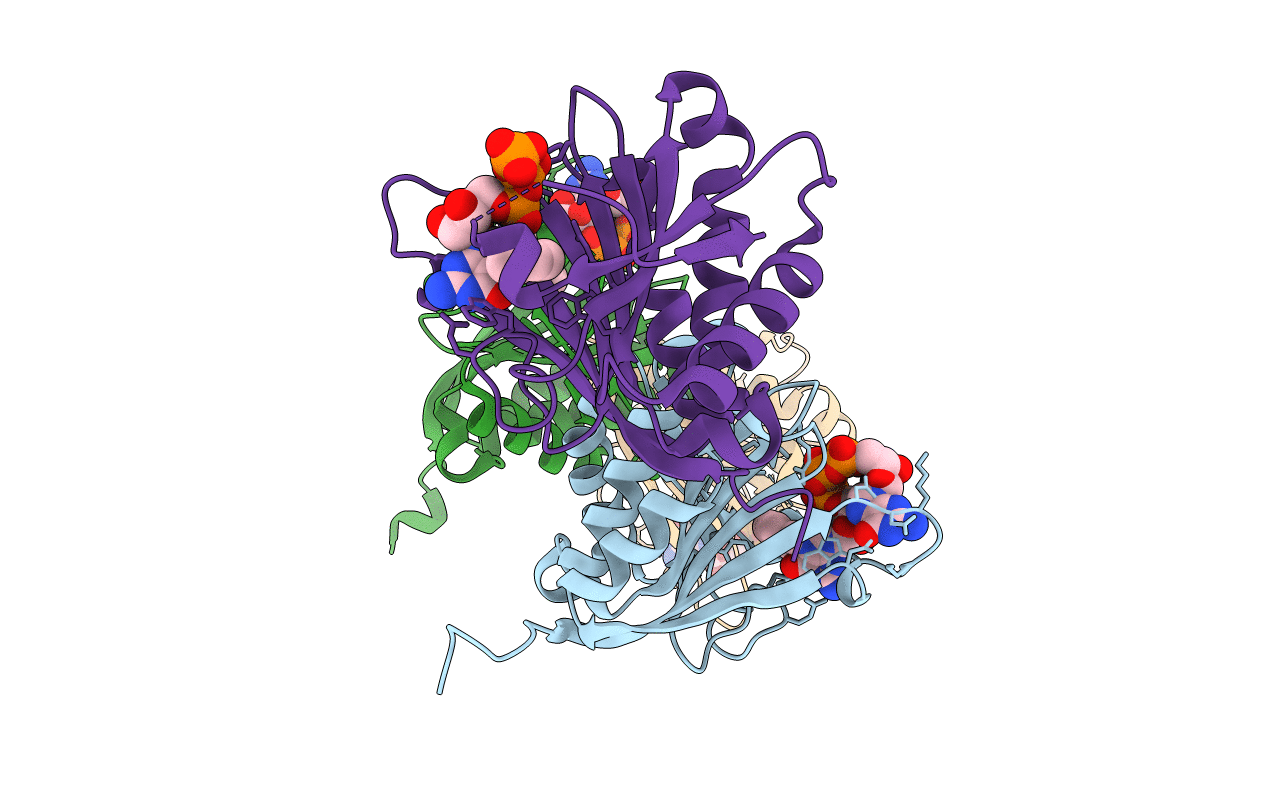 6YLT image