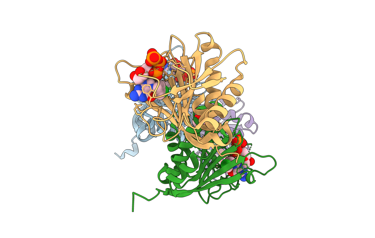 6YLV image
