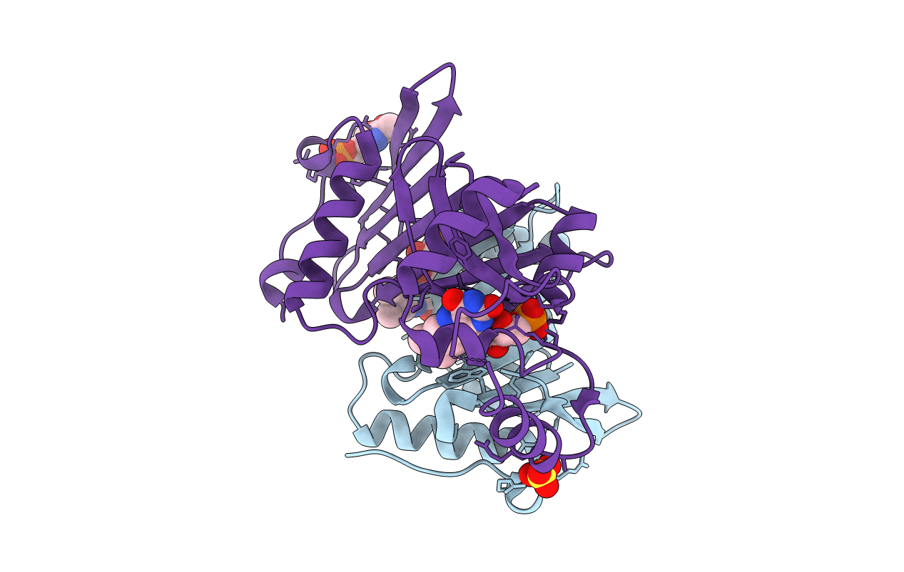 6YMH image