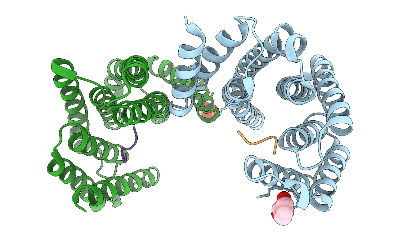 6YMO image