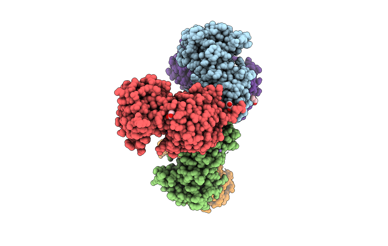6YMZ image