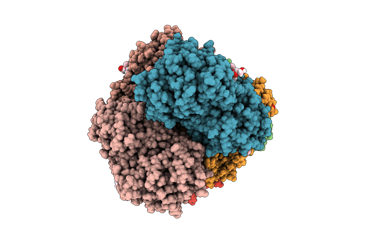 6YNF image