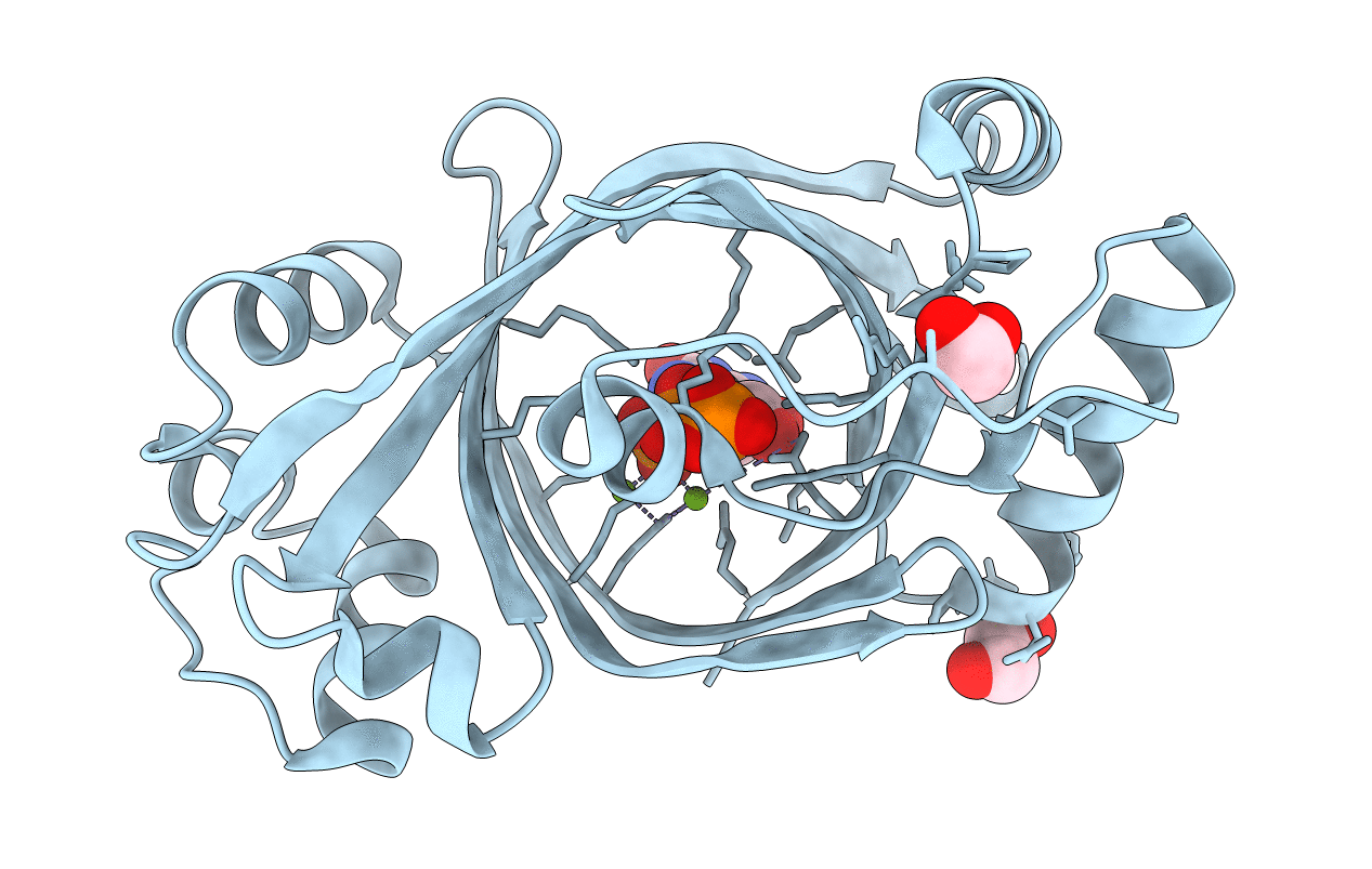 6YP4 image