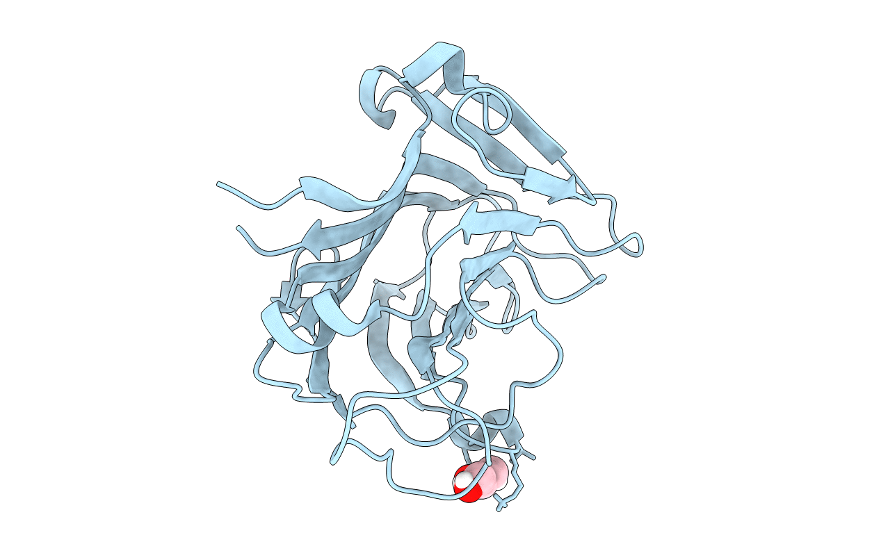 6YP6 image
