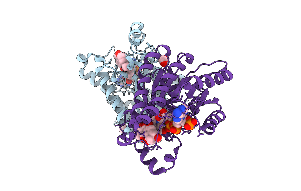 6YQ3 image