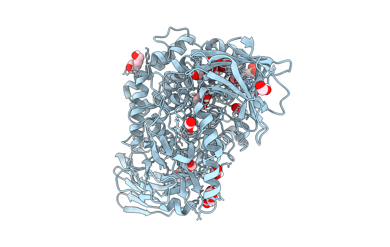 6YQH image