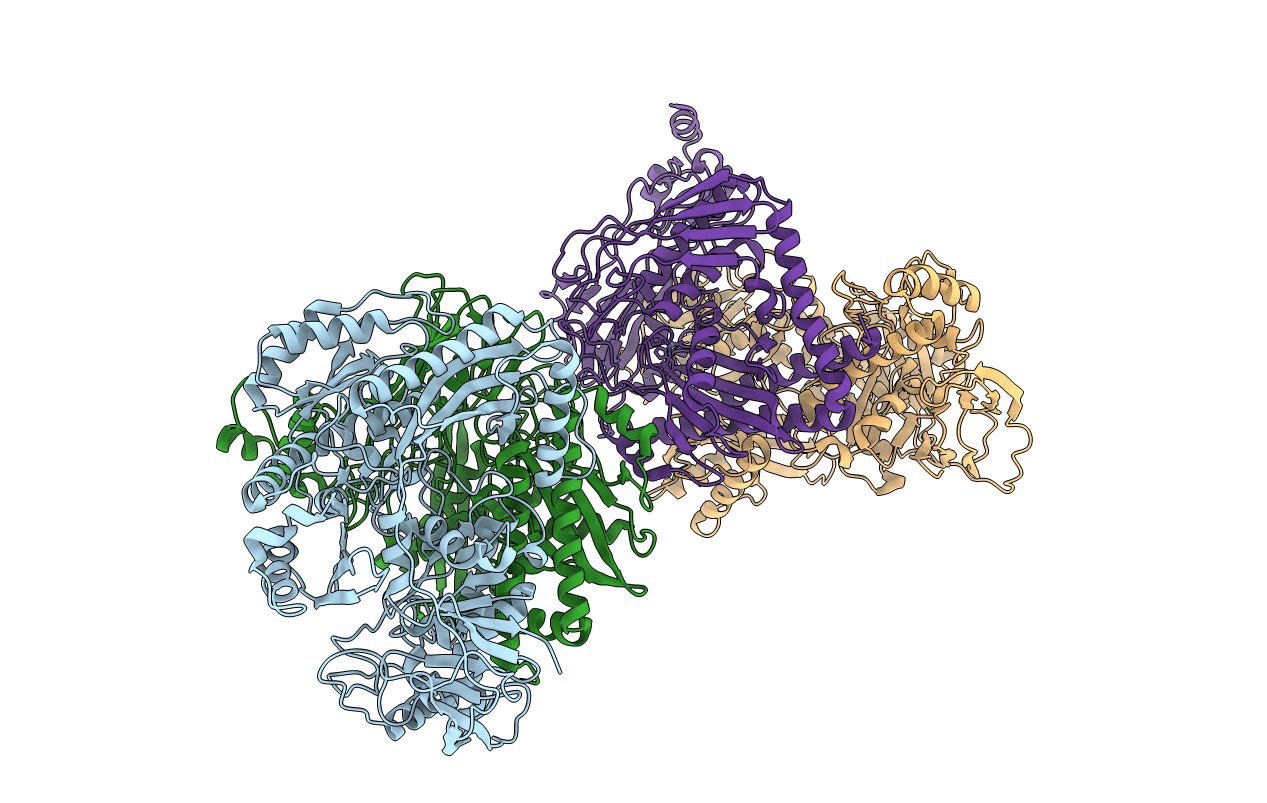 6YRA image