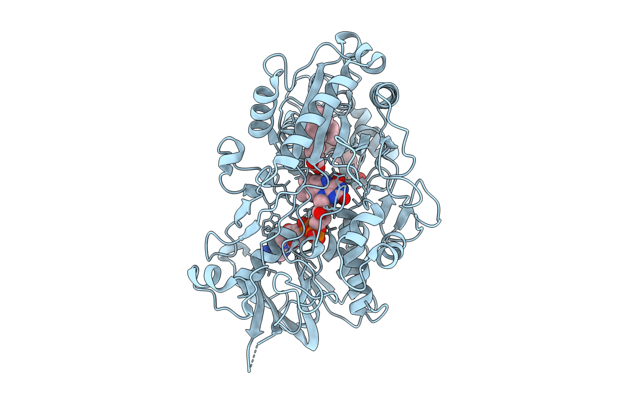 6YRX image