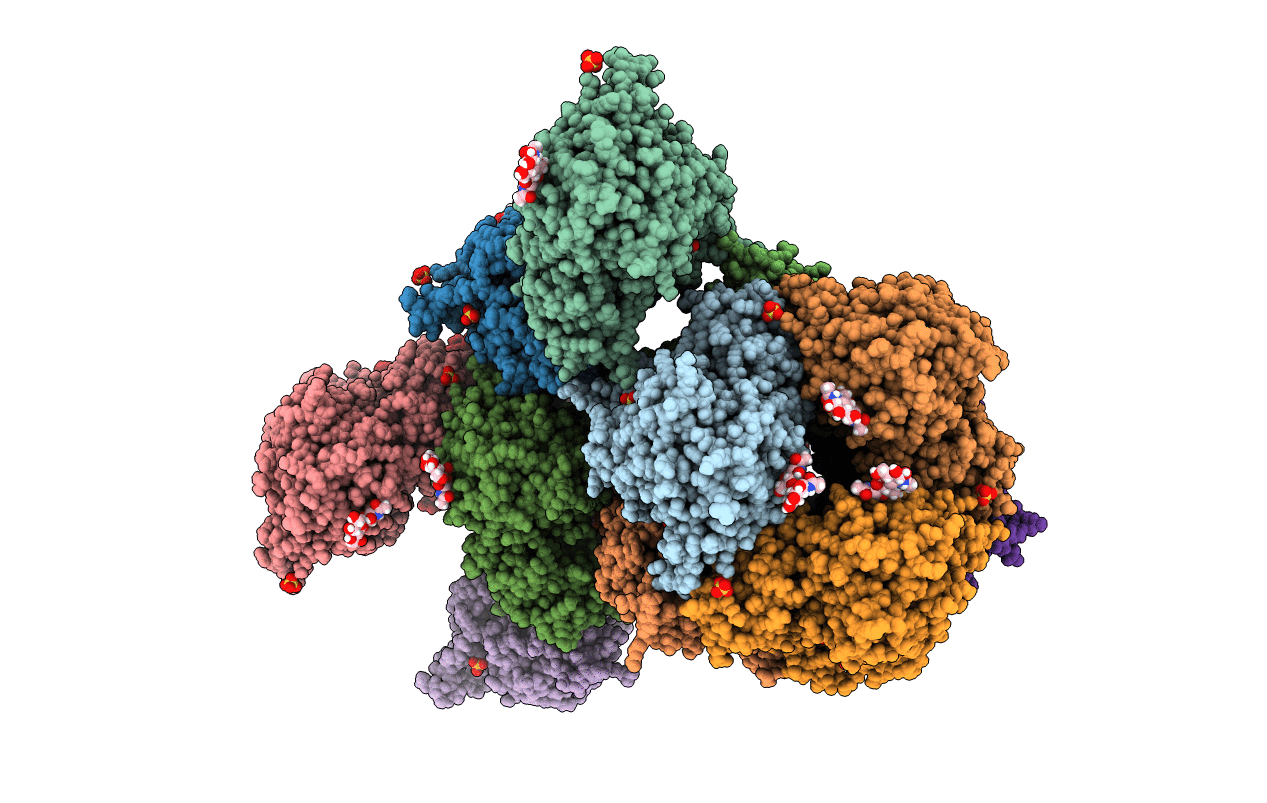 6YSA image