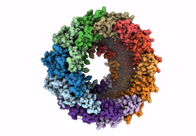 6YTX image