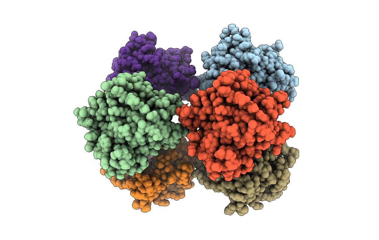6YVT image