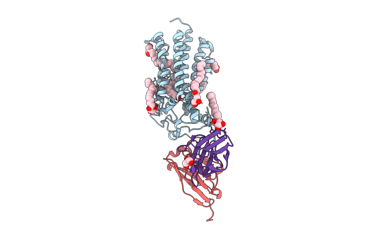 6YX9 image