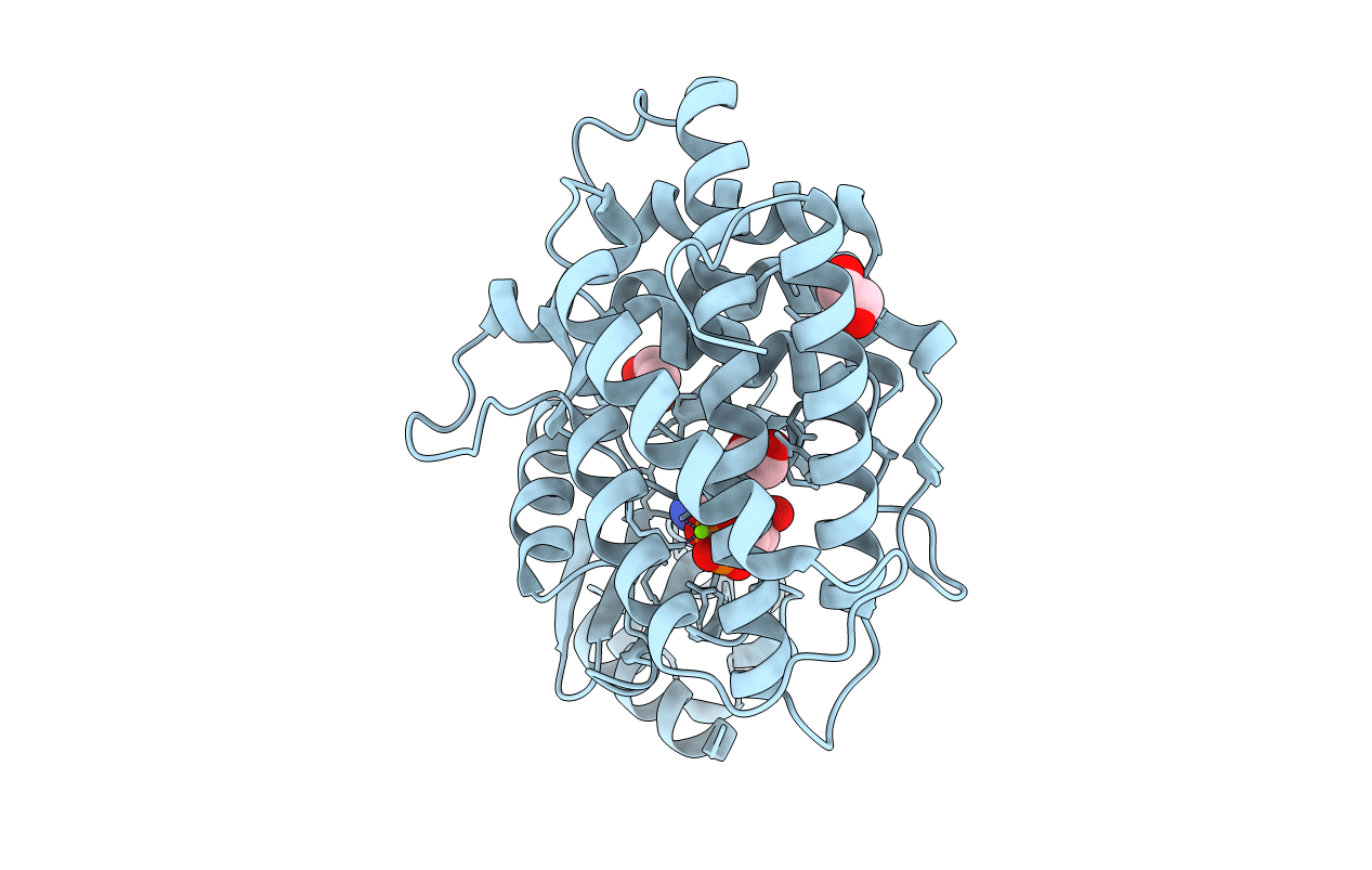 6YXT image
