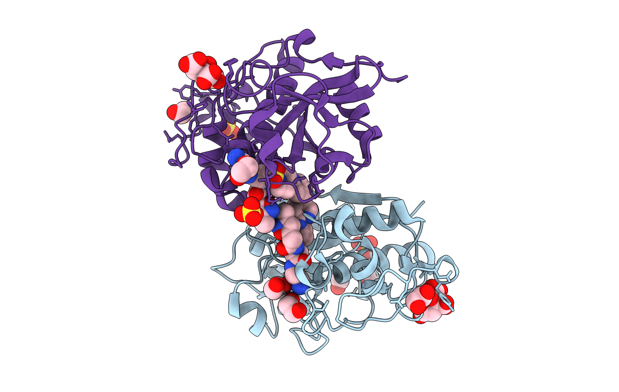 6YYR image