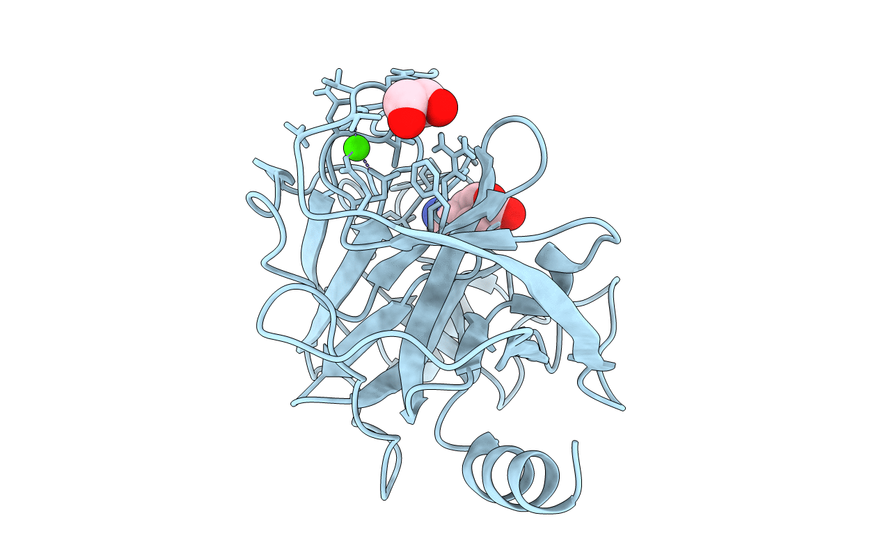 6YZC image
