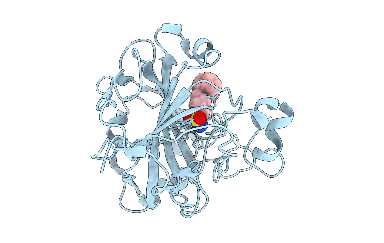 6Z04 image