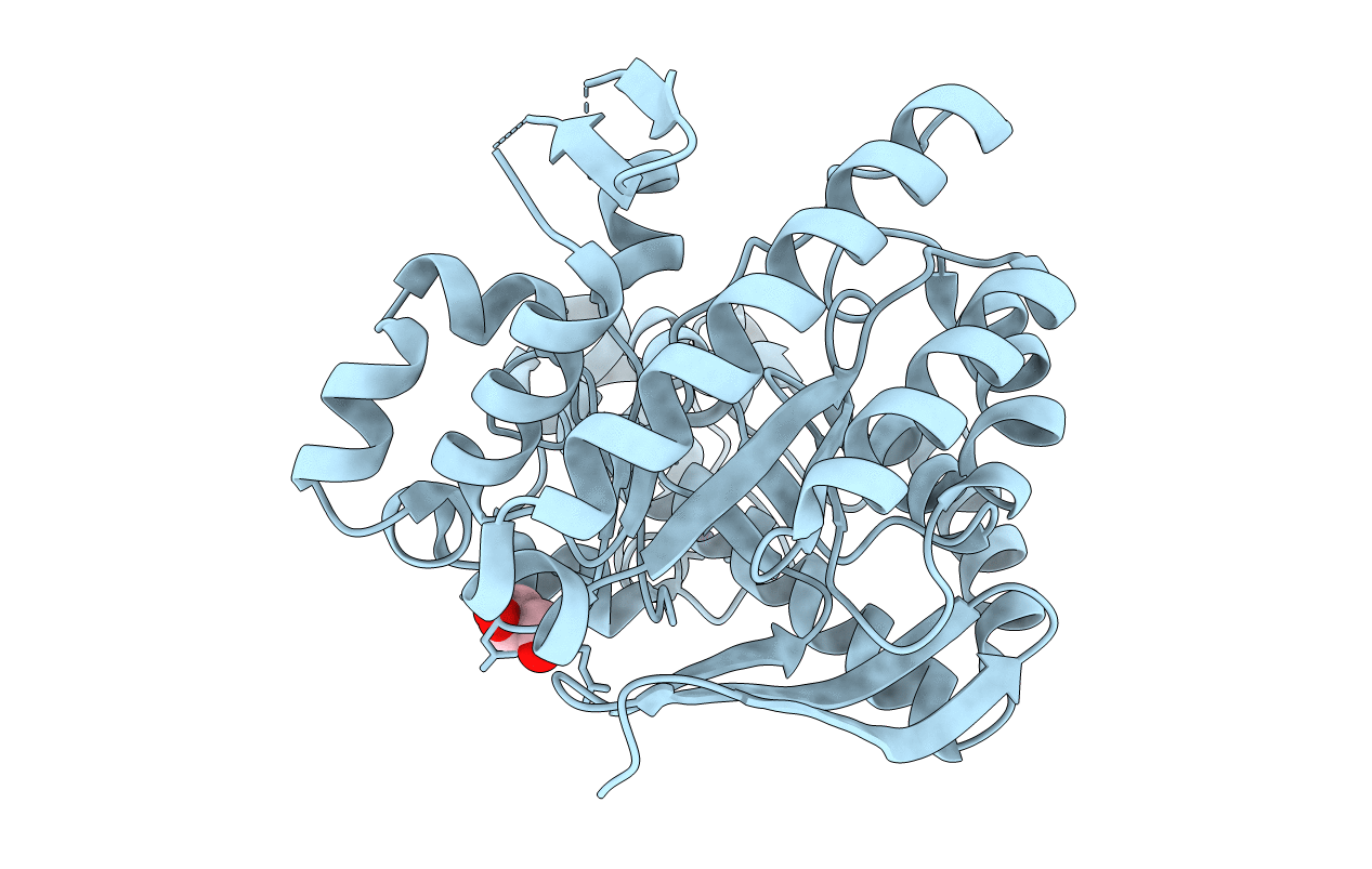 6Z0D image