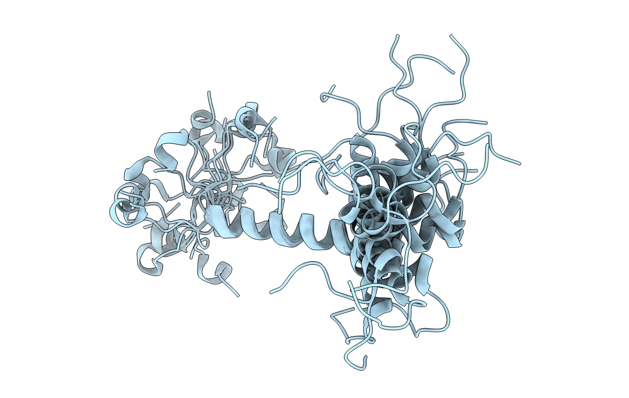 6Z0G image